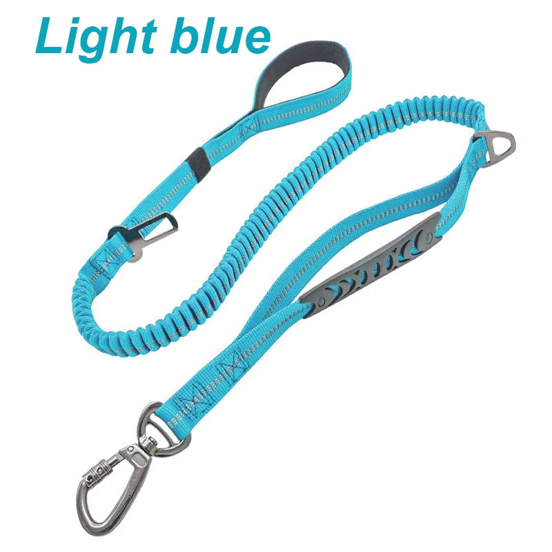 Bungee Leash