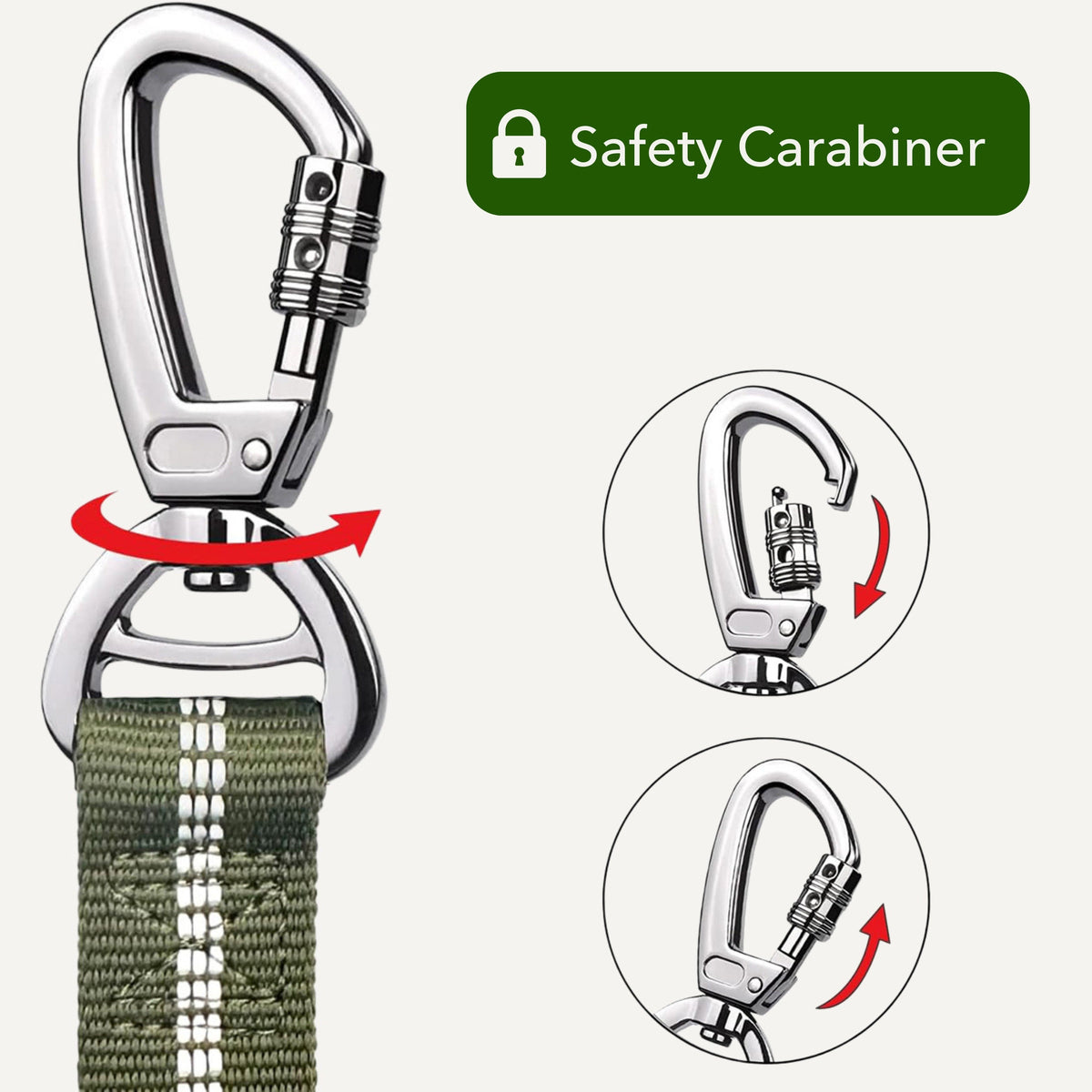 Bungee Leash (4 ft)