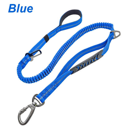 Bungee Leash