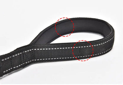 Bungee Leash