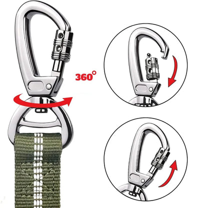 Bungee Leash