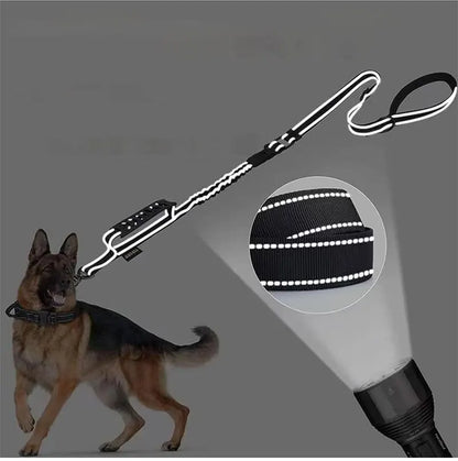 Bungee Leash
