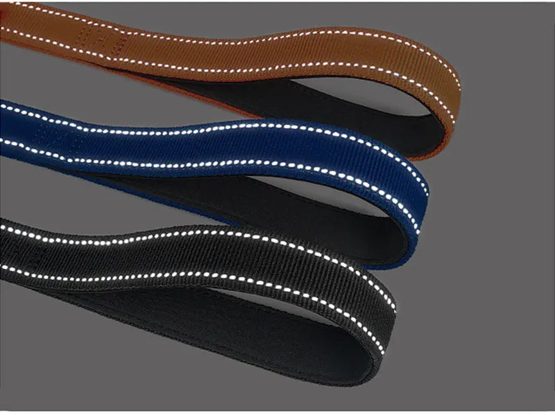 Bungee Leash