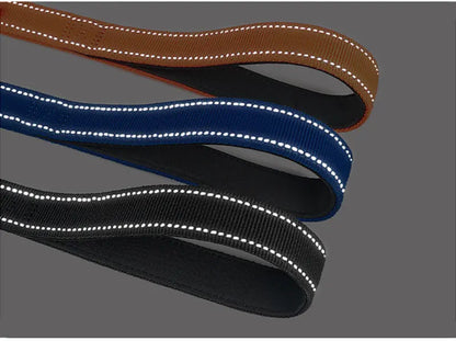 Bungee Leash