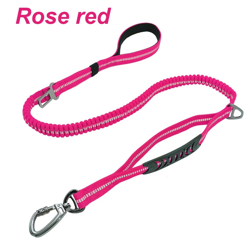 Bungee Leash