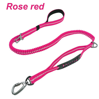 Bungee Leash