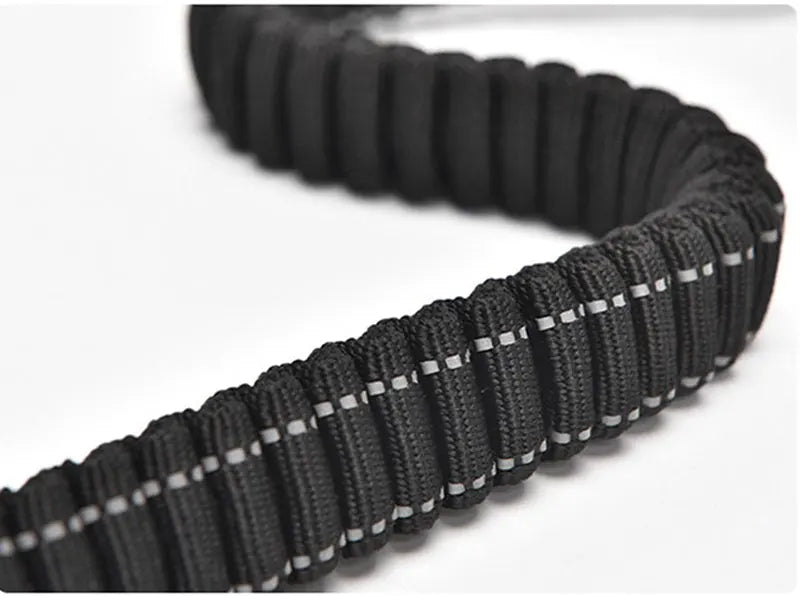 Bungee Leash