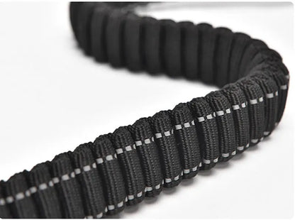 Bungee Leash