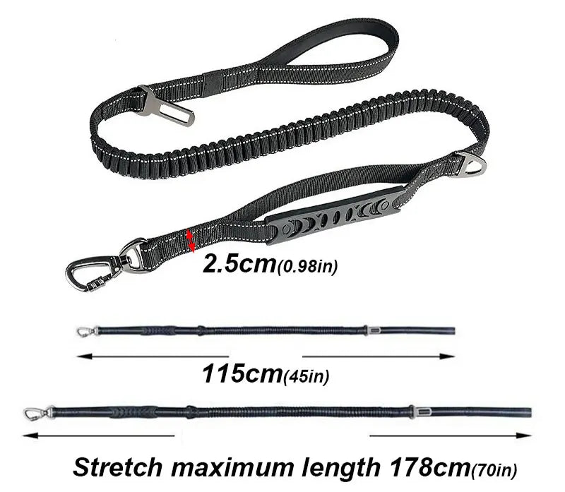 Bungee Leash