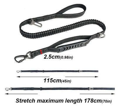 Bungee Leash