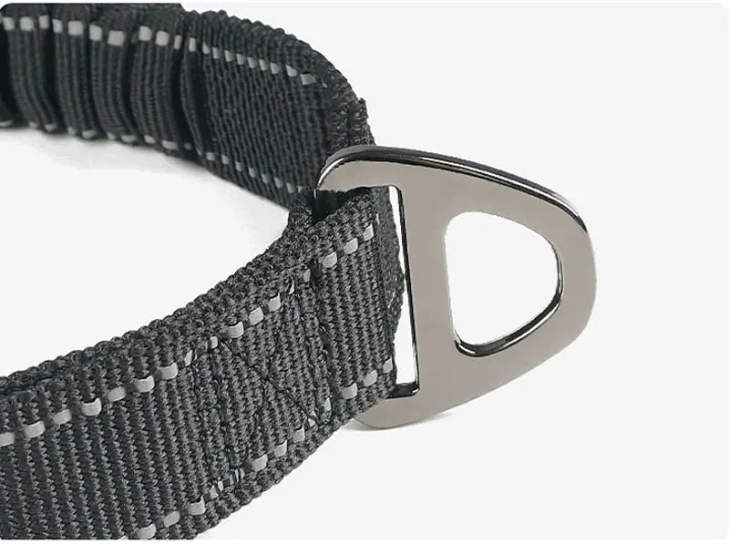 Bungee Leash