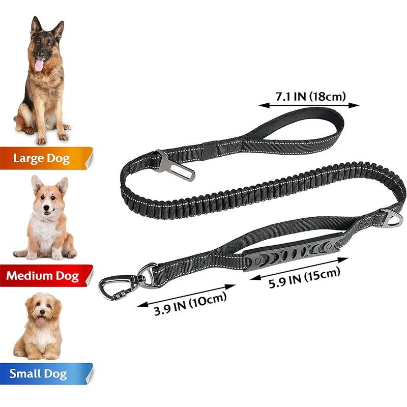 Bungee Leash