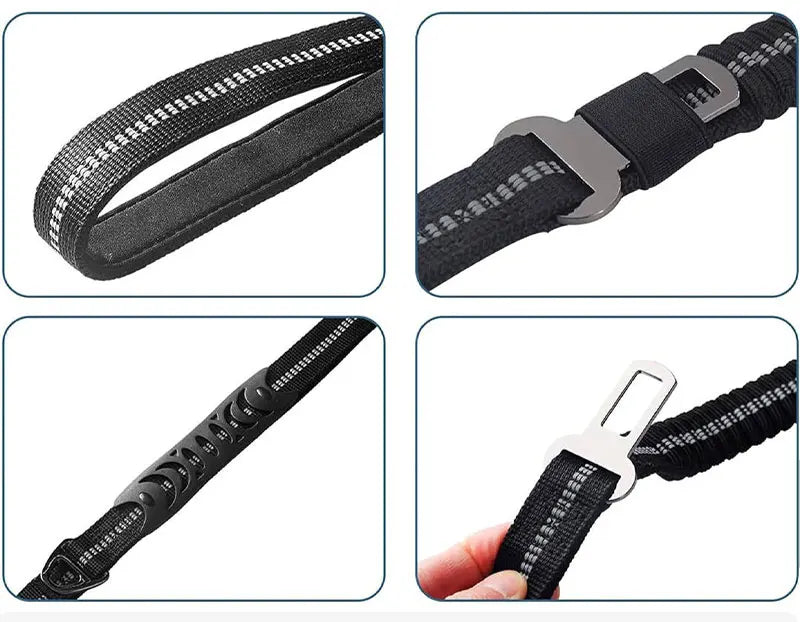 Bungee Leash