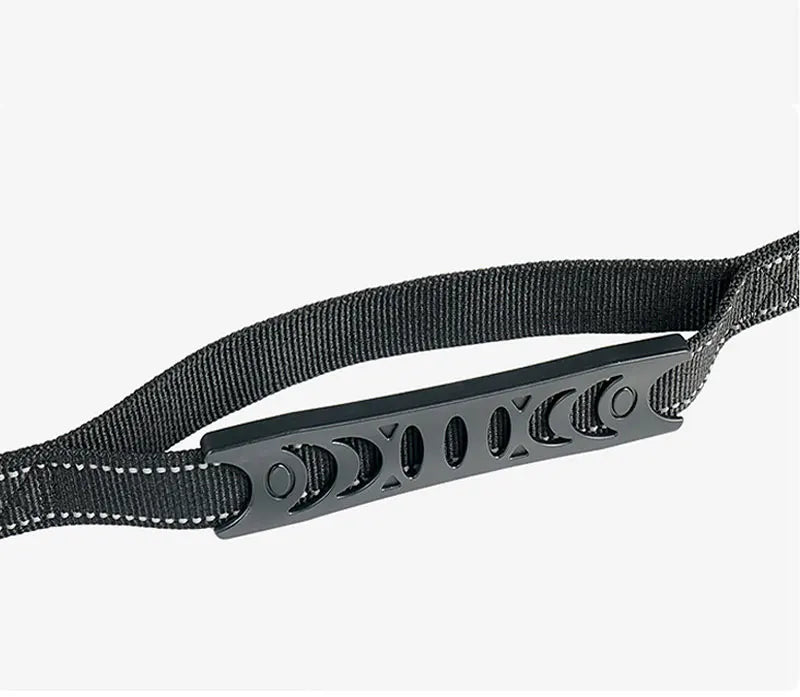Bungee Leash