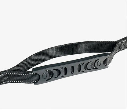 Bungee Leash