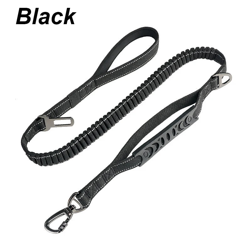 Bungee Leash