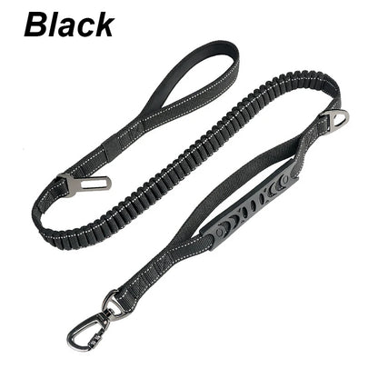Bungee Leash