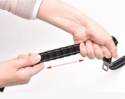 Bungee Leash