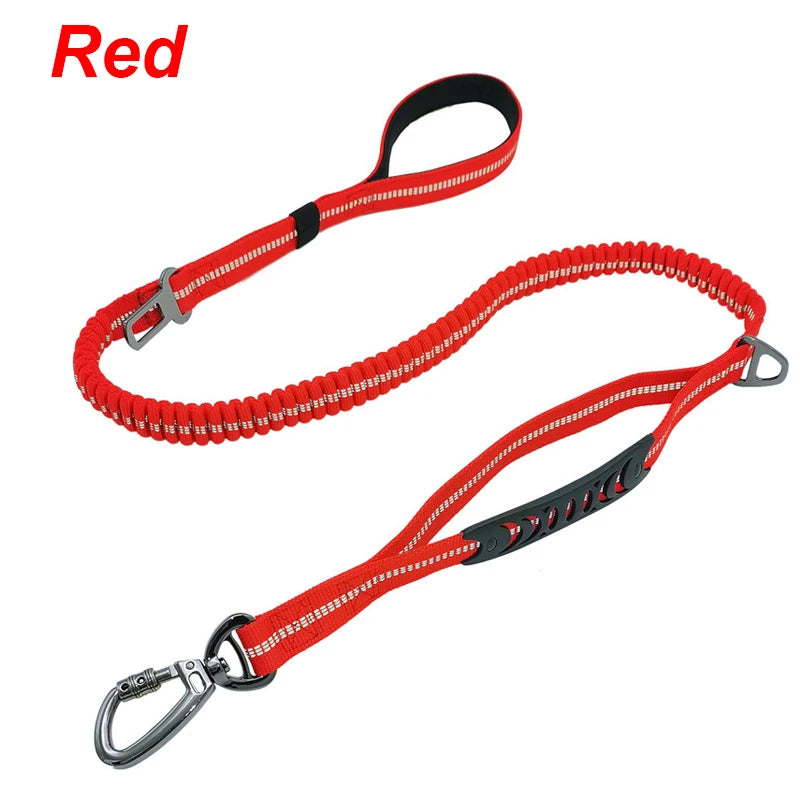 Bungee Leash