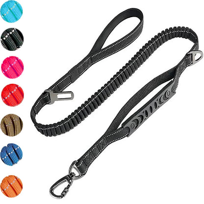Bungee Leash