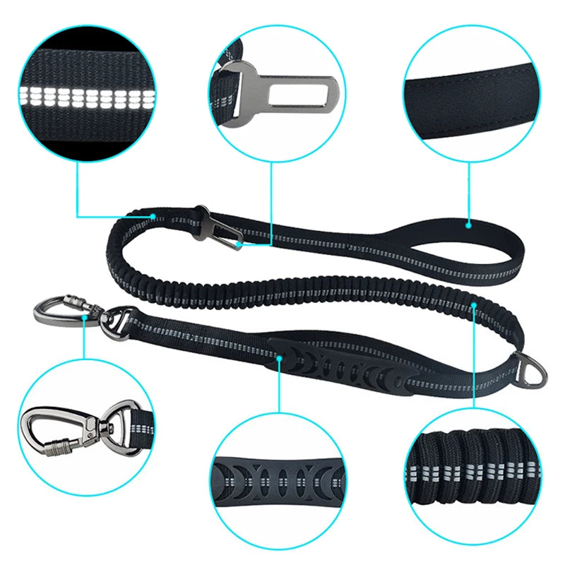 Bungee Leash