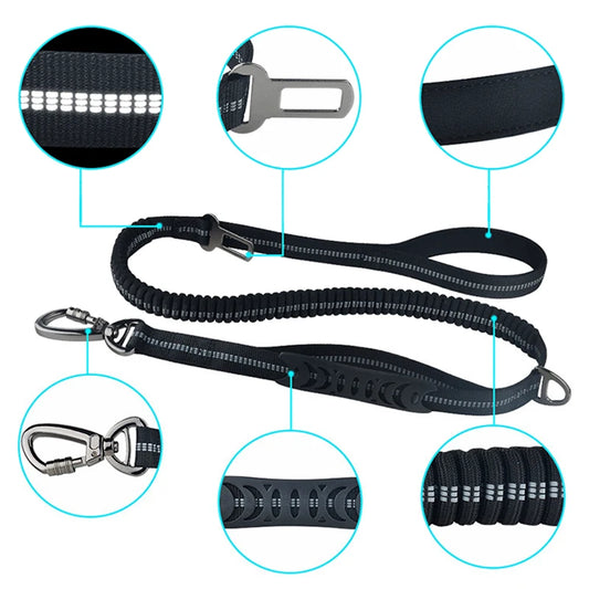 Bungee Leash