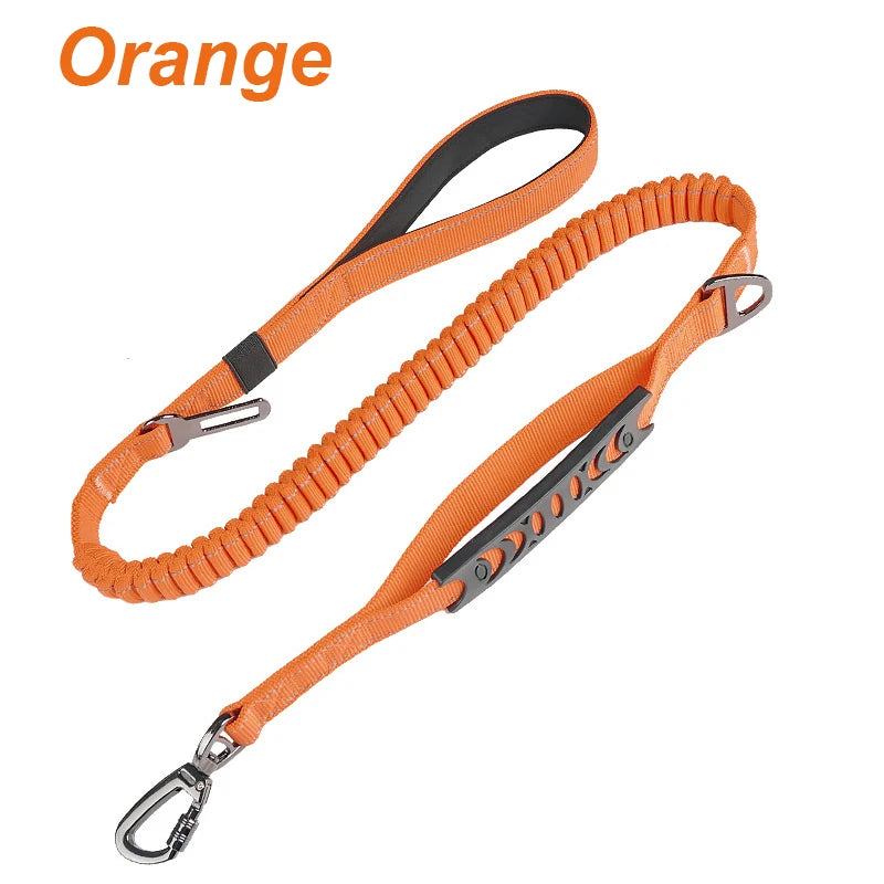 Bungee Leash