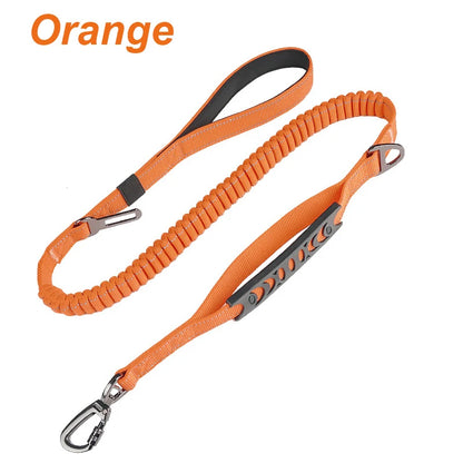 Bungee Leash