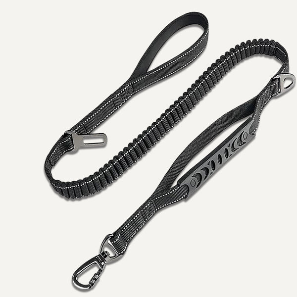 Bungee Leash (4 ft)