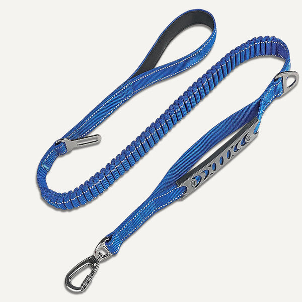 Bungee Leash (4 ft)