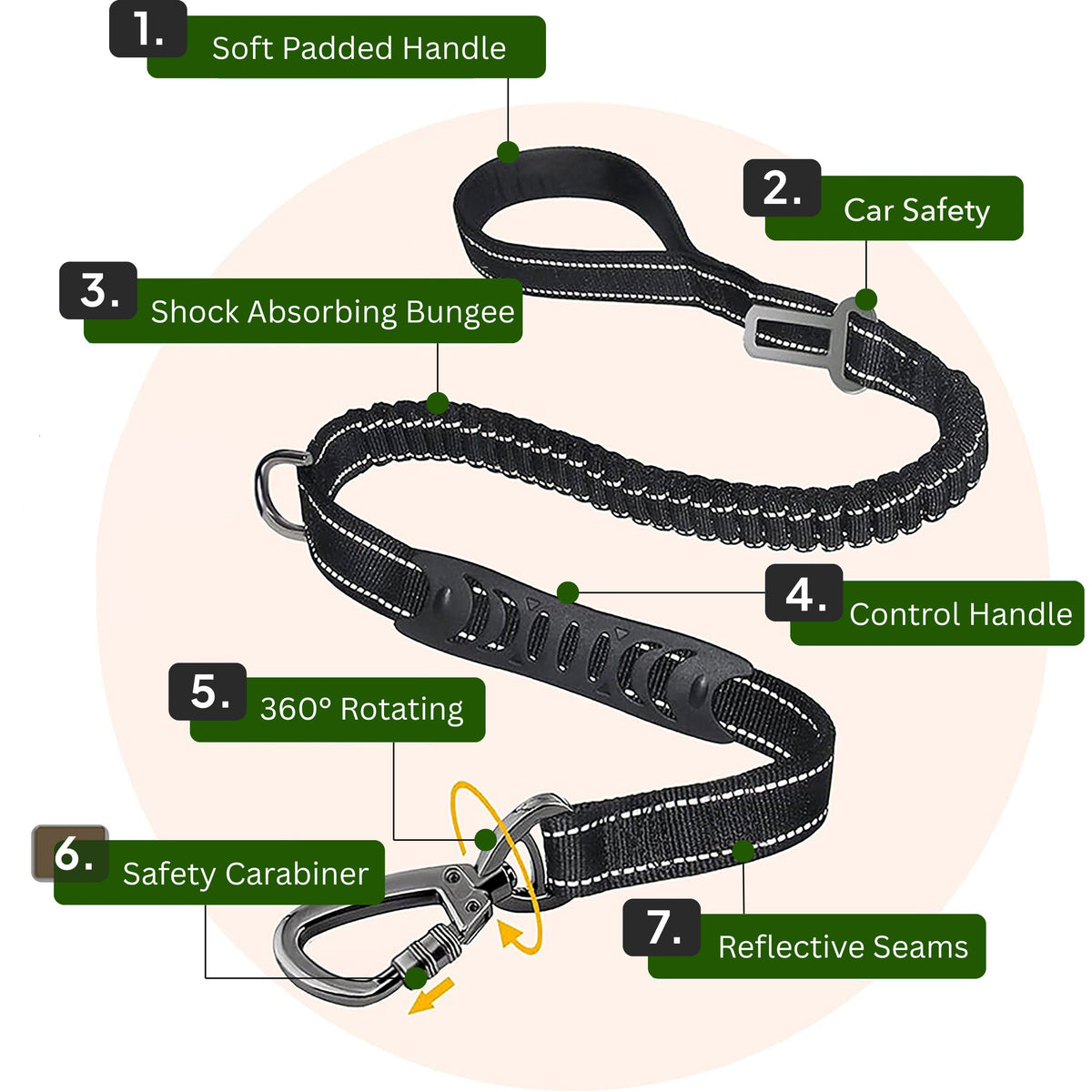 Bungee Leash (4 ft)