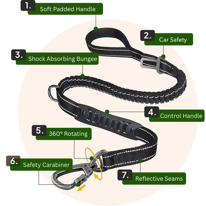 Bungee Leash (4 ft)