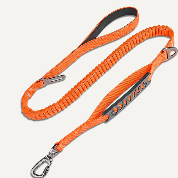 Bungee Leash (4 ft)