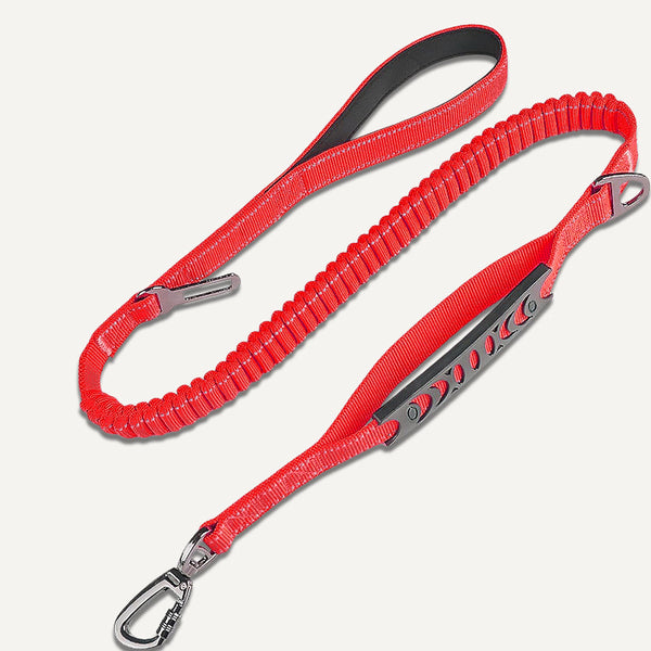Bungee Leash (4 ft)