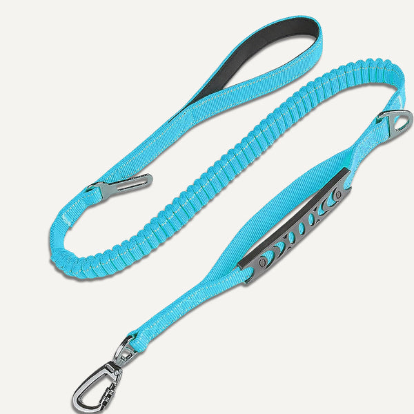 Bungee Leash (4 ft)
