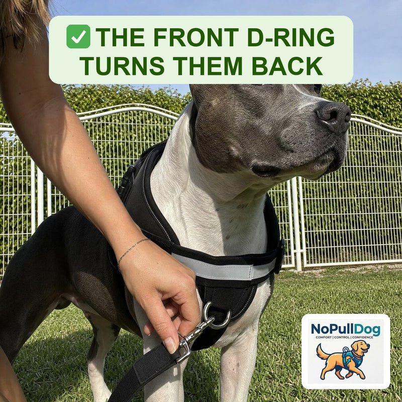 1. LEARNING THROUGH TURNING & POSITIVE TREATMENT