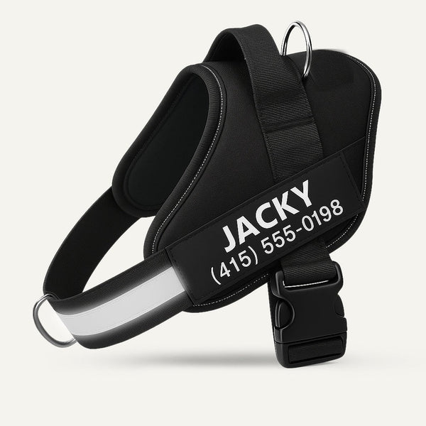 Personalized No-Pull Dog Harness