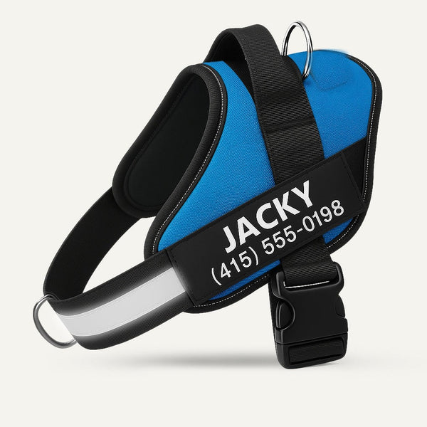 Personalized No-Pull Dog Harness