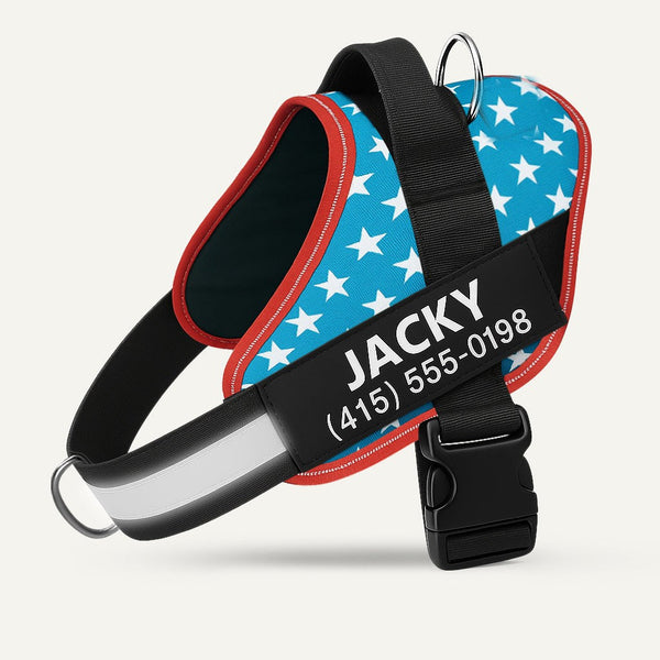 Personalized No-Pull Dog Harness