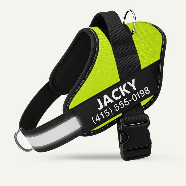 Personalized No-Pull Dog Harness