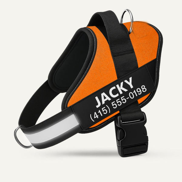 Personalized No-Pull Dog Harness