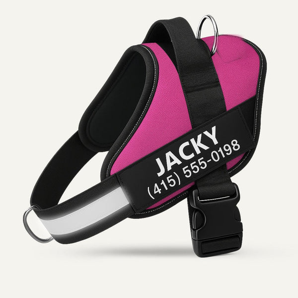 Personalized No-Pull Dog Harness