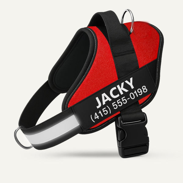 Personalized No-Pull Dog Harness
