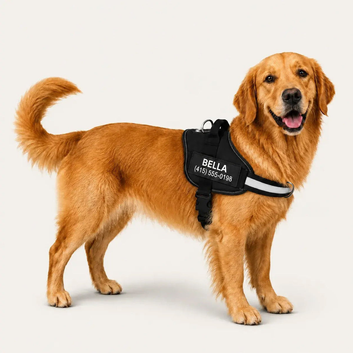 Personalized No-Pull Dog Harness