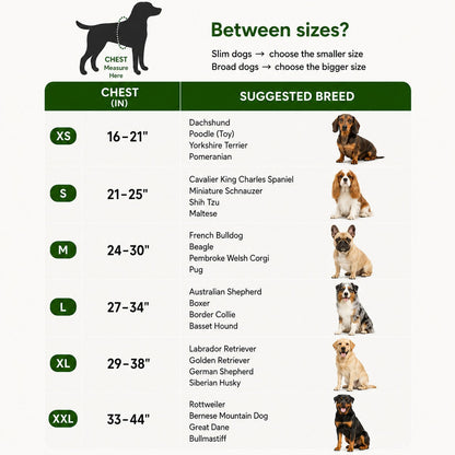 Personalized No-Pull Dog Harness